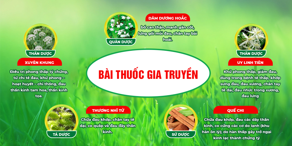 bài thuốc gia truyền thang dâm dương hoắc